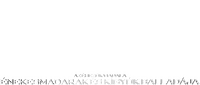 Logo 51