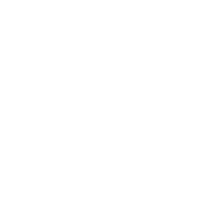 Logo 30