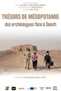 poster Trésors de Mésopotamie : Des archéologues face à Daech