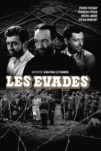 Poster 3