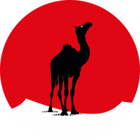 Logo - Black Camel Pictures
