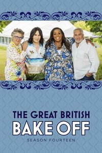 Poster for Series 14