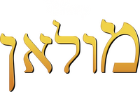 Logo 9