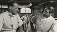 «Девушка в белом (1952)» — обои к фильму #1