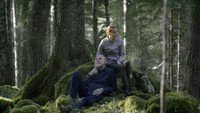 «Элегия лавра (2021)» — обои к фильму #1