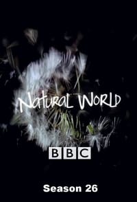 Watch Natural World - Season 26 123Movies