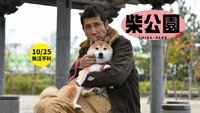 Shiba Park
