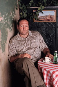Постер сериала «Сопрано (1999-2007)» — (23 из 65)