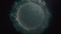 Обои к фильму «Марти Великолепный (2025)» — (78 из 229)