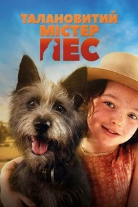 Poster de Runt