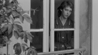 «Наудачу, Бальтазар (1966)» — обои к фильму #9