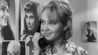 «Я не хочу сниматься (1967)» — обои к фильму #1