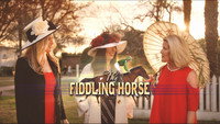 «The Fiddling Horse (2019)» — обои к фильму #2