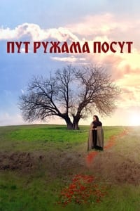 Пут ружама посут (2013)