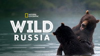 «Дикая природа России (2008)» — обои к сериалу #5