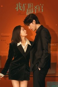 Poster de 我们的翻译官