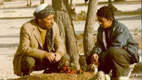 «Tatooreh (1985)» — обои к фильму #1