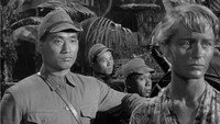 «Город, похожий на Элис (1956)» — обои к фильму #2