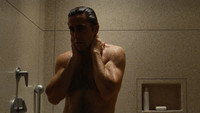 Nocturnal Animals