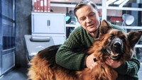 «Комиссар Алекс (2012-2014)» — обои к сериалу #1