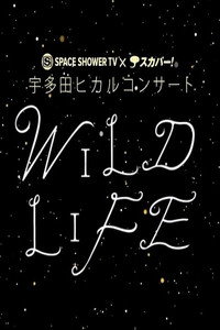 Utada Hikaru-WILD LIFE 2010 - 2010