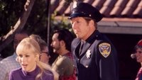 The Feminist and the Fuzz