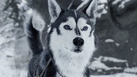 Обои к фильму «Зов предков (2020)» — (11 из 24)