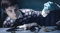 «Стэнли Пикл (2010)» — обои к мультфильму #1