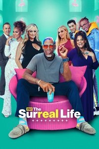 Poster de The Surreal Life