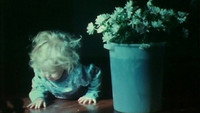 «Двигаясь вперед, иногда я видел краткие проблески красоты (2000)» — обои к фильму #2