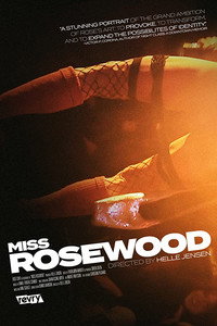 Постер фильма «Miss Rosewood (2017)» — (3 из 5)