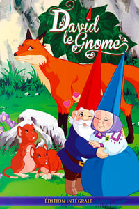 David le Gnome (1985)