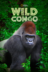 copertina serie tv Wild+Congo 2014