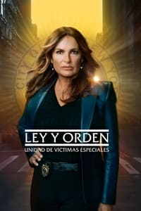 Poster de La Ley y el Orden: Unidad de Víctimas Especiales