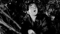 «Le rossignol et les cloches (1952)» — обои к фильму #8