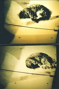 movie-images