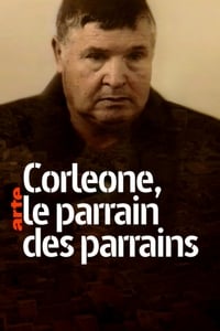 copertina serie tv Corleone+%3A+le+parrain+des+parrains 2019