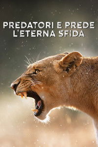 copertina serie tv Predatori+e+prede+-+L%27eterna+sfida 2024