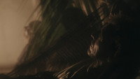 «Desvío de noche (2022)» — обои к фильму #2