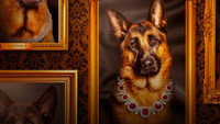 Обои к сериалу «Миллионы Гюнтера (2023)» — (12 из 14)