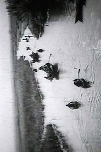 Постер фильма «Ljudi sa Neretve (1966)» — (1 из 4)