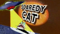 Scaredy Cat