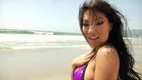«Swimsuit Calendar Girls 4 (2010)» — обои к фильму #2
