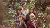 «Война полов (1983-1984)» — обои к сериалу #3