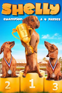 Shelly, champion à 4 pattes (2013)