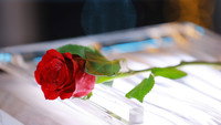 «The Bachelorette Japan (2020)» — обои к сериалу #2