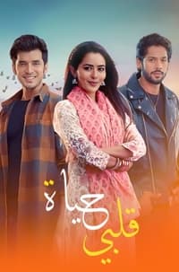 Kundali Bhagya (2017)