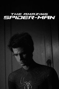 Постер фильма «Новый Человек-паук (2012)» — (20 из 95)