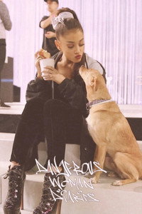 Постер сериала «Ariana Grande: Dangerous Woman Diaries (2018)» — (5 из 15)