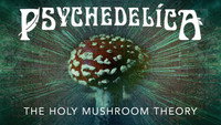 The Holy Mushroom Theory